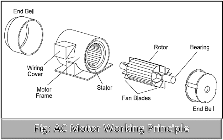 AC Motor Working Principle