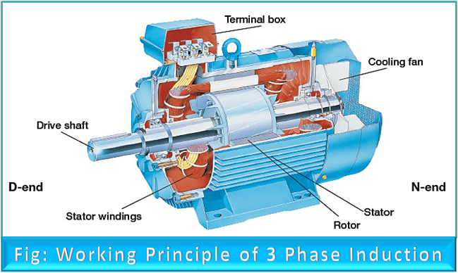 Principle of Operation of Three Phase Induction Motor