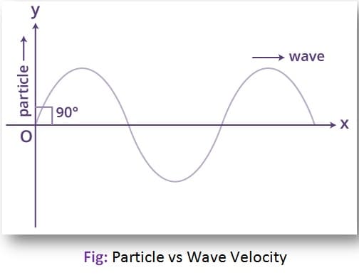 Difference between Particle and Wave Velocity